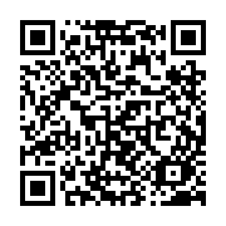 QR code for P90CEO