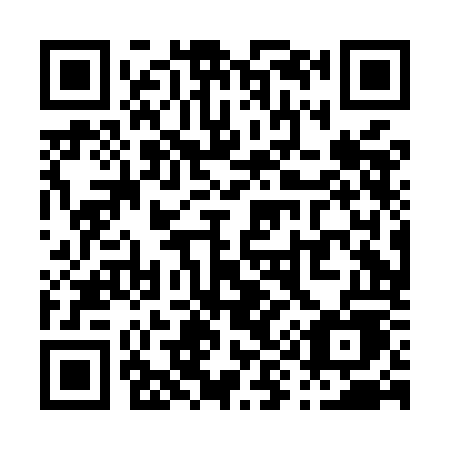QR code for plate P90-MOE