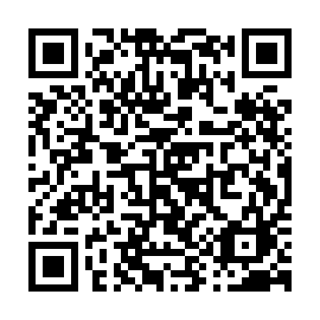 QR code for P91-HAC
