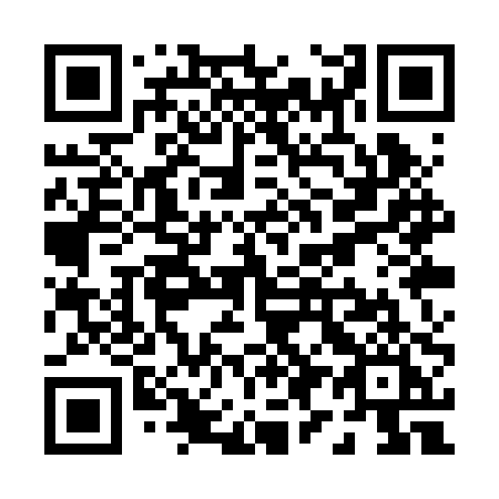 QR code for P91-RPI