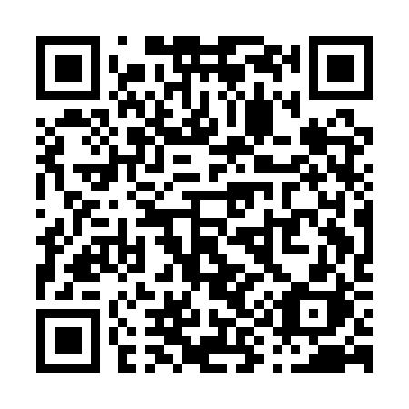 QR code for P91ARH