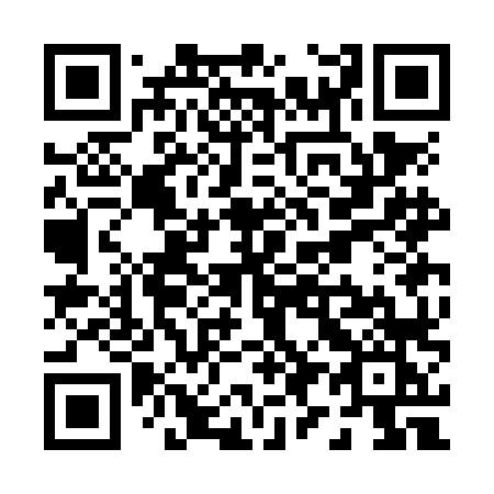 QR code for P93-NLK
