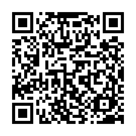 QR code for plate P93-UVM