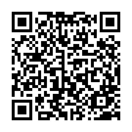QR code for P95-QLT