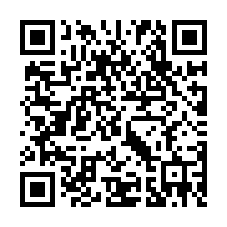 QR code for P95-YJR