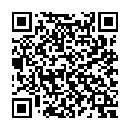 QR code for P95IJH