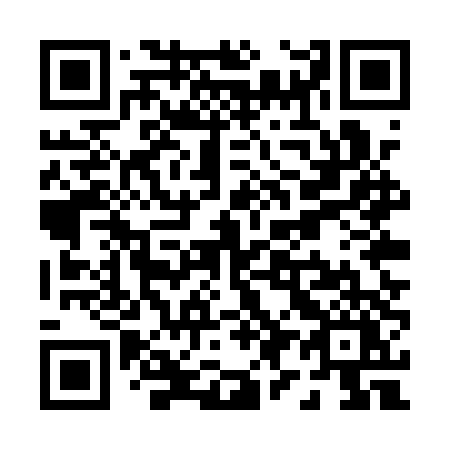 QR code for P95QTY
