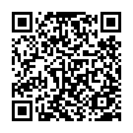 QR code for P96-DLU
