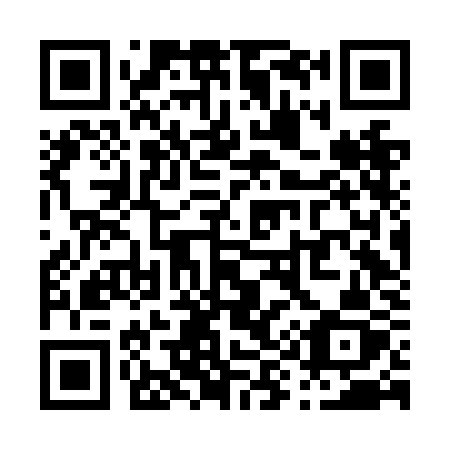 QR code for plate P96-NKZ