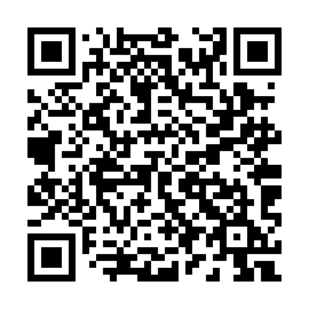 QR code for P96PIE