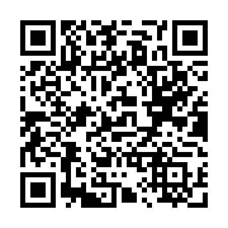 QR code for P98-STS