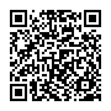 QR code for P99-HZL