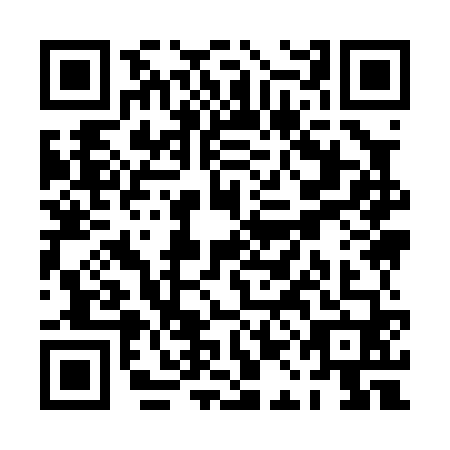 QR code for PAI-0602