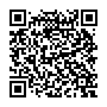 QR code for PAI-226