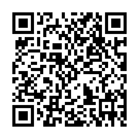 QR code for PAL981