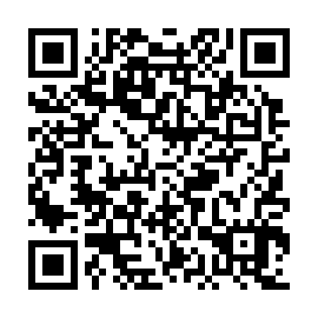 QR code for plate PAT-307