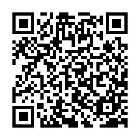 QR code for PDD-307