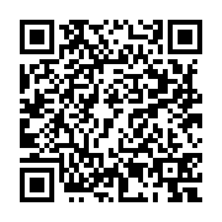 QR code for PE1I313