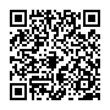 QR code for plate PE8-T228