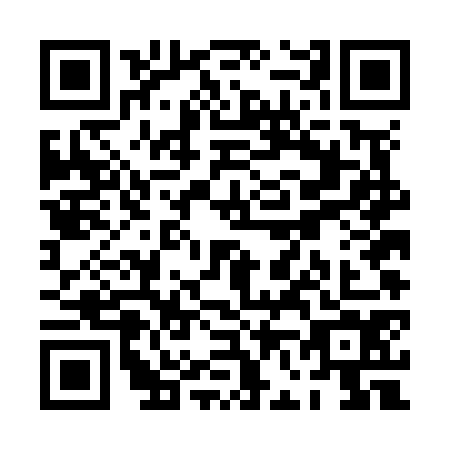 QR code for plate PF4-N741