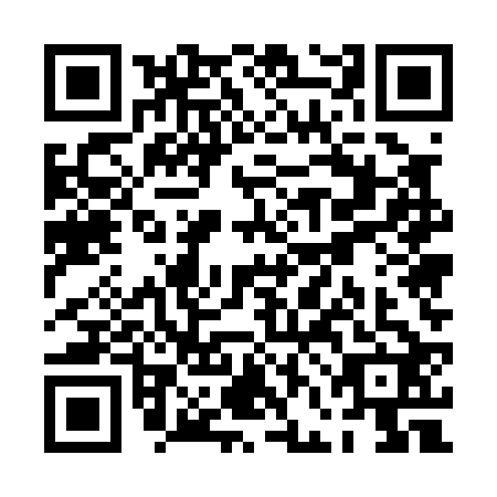QR code for PFE-0228