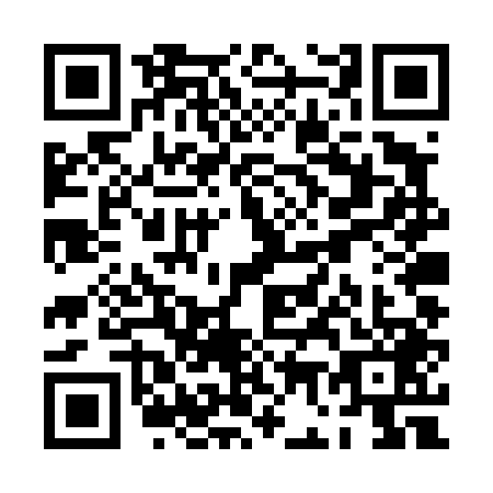 QR code for PG4-T493