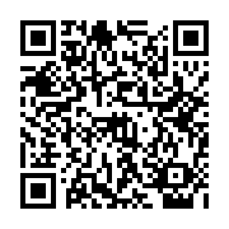 QR code for PGA0384