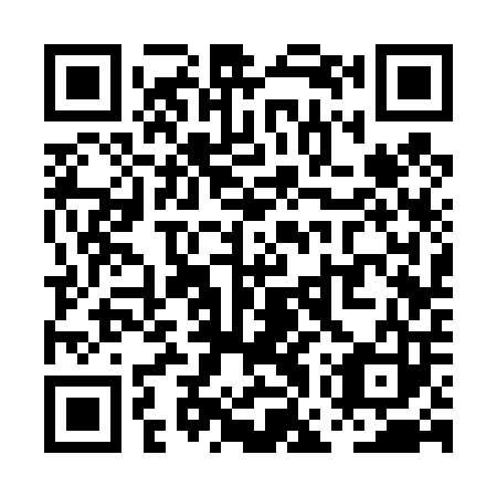 QR code for plate PGS-403