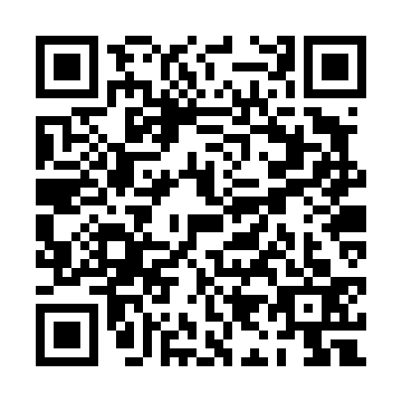 QR code for PI2-T333