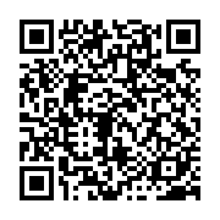 QR code for PI6-N017