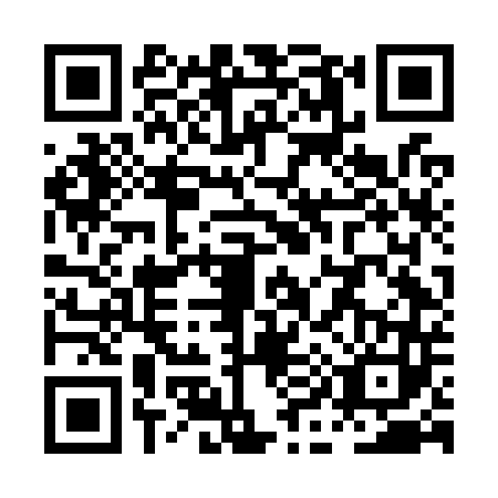 QR code for plate PI6-O438