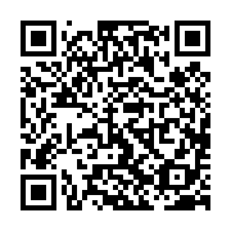 QR code for plate PJP-498