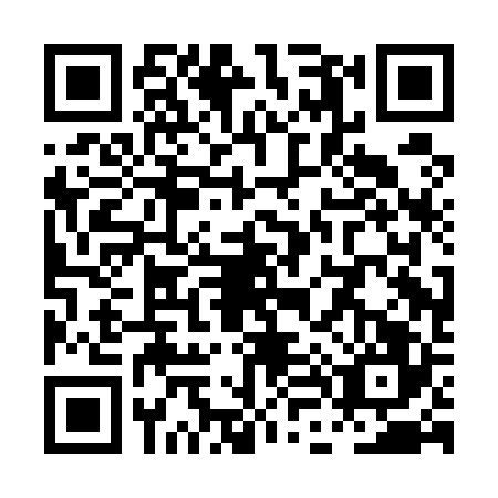 QR code for plate PL0-E266