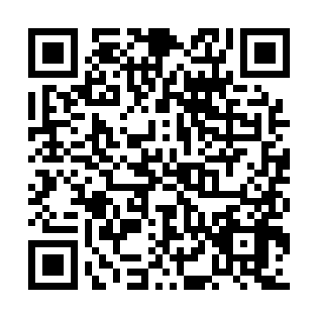 QR code for PL1-Q985