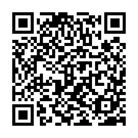 QR code for PLV-541