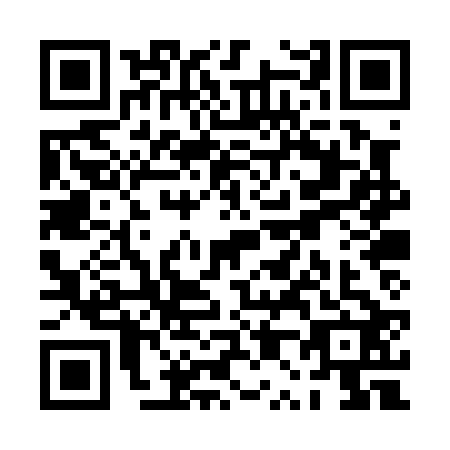 QR code for PP0-P221