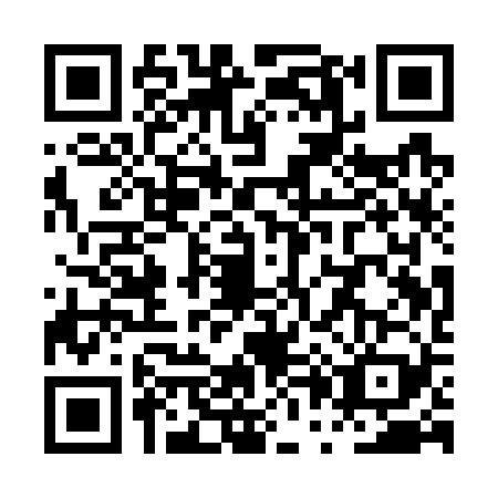QR code for PP1-W299