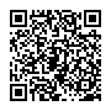 QR code for plate PP2-R411