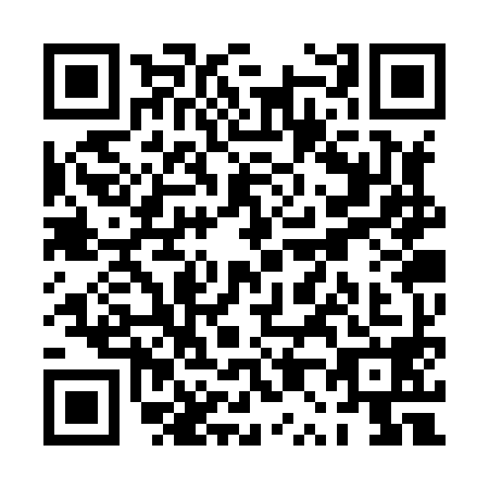 QR code for PP3X985