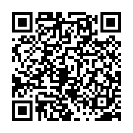 QR code for plate PP4-P539