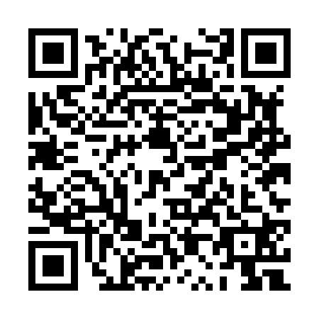 QR code for PP5-H207