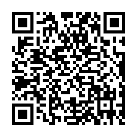 QR code for PPT-2317