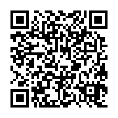 QR code for plate PQG-385