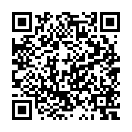 QR code for PQP-3493