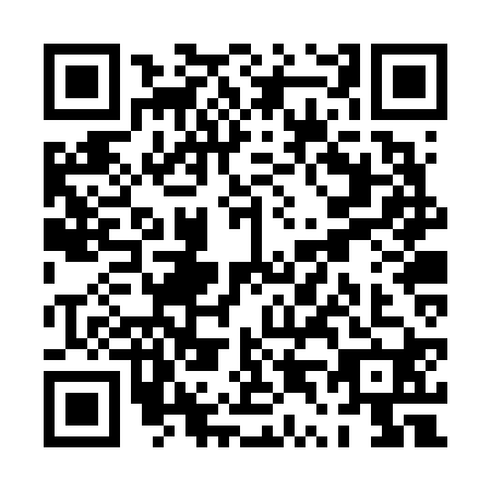 QR code for PT2-V209