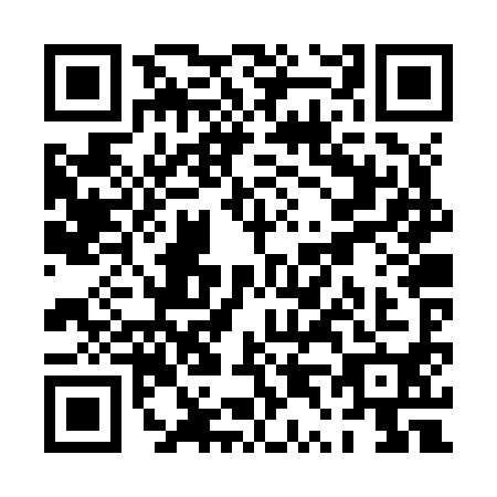 QR code for PT2-Z904