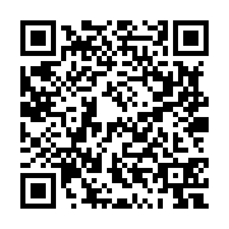 QR code for plate PT8-X307