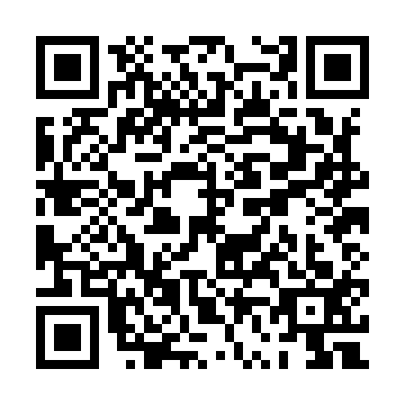 QR code for plate PV0-I133