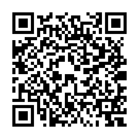 QR code for PV5-Z919