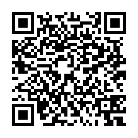 QR code for PV8N384